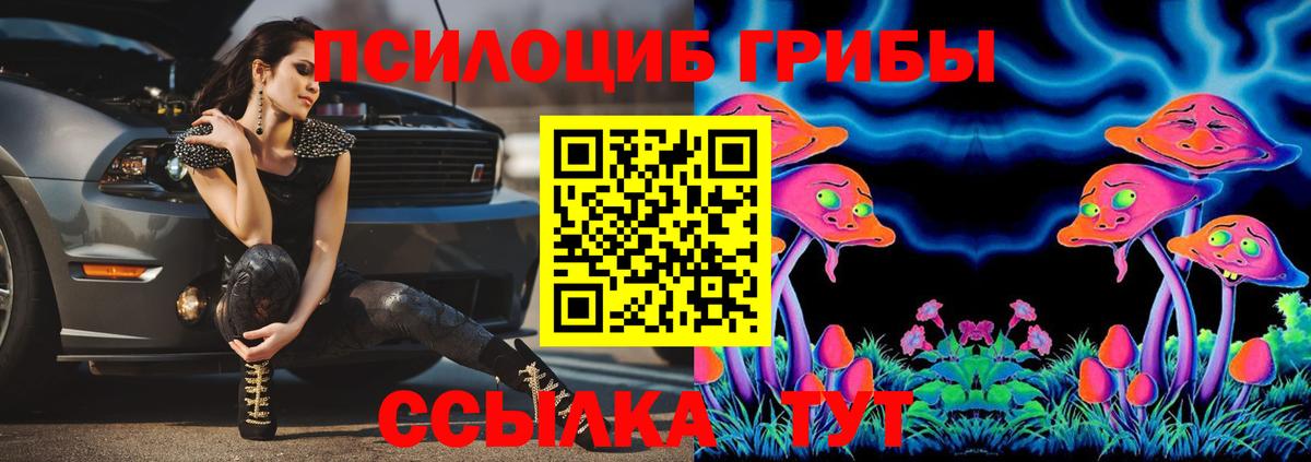 Туапсе  Псилоцибиновые грибы Psilocybine cubensis  Вход с VPN 